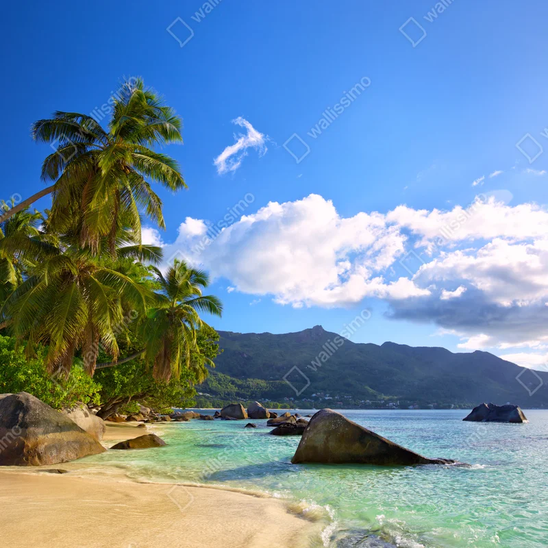 Leinwandbild tropischer strand auf Mahé Leinwandbild tropischer strand auf Mahé