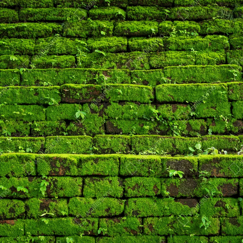 Laptop-Aufkleber üppige moosbedeckte ziegelwand Laptop-Aufkleber üppige moosbedeckte ziegelwand