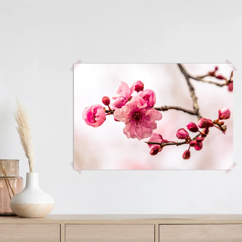 Poster zarter rosa blütenzweig • Poster bei Wallnifity® Poster zarter rosa blütenzweig • Poster bei Wallnifity®