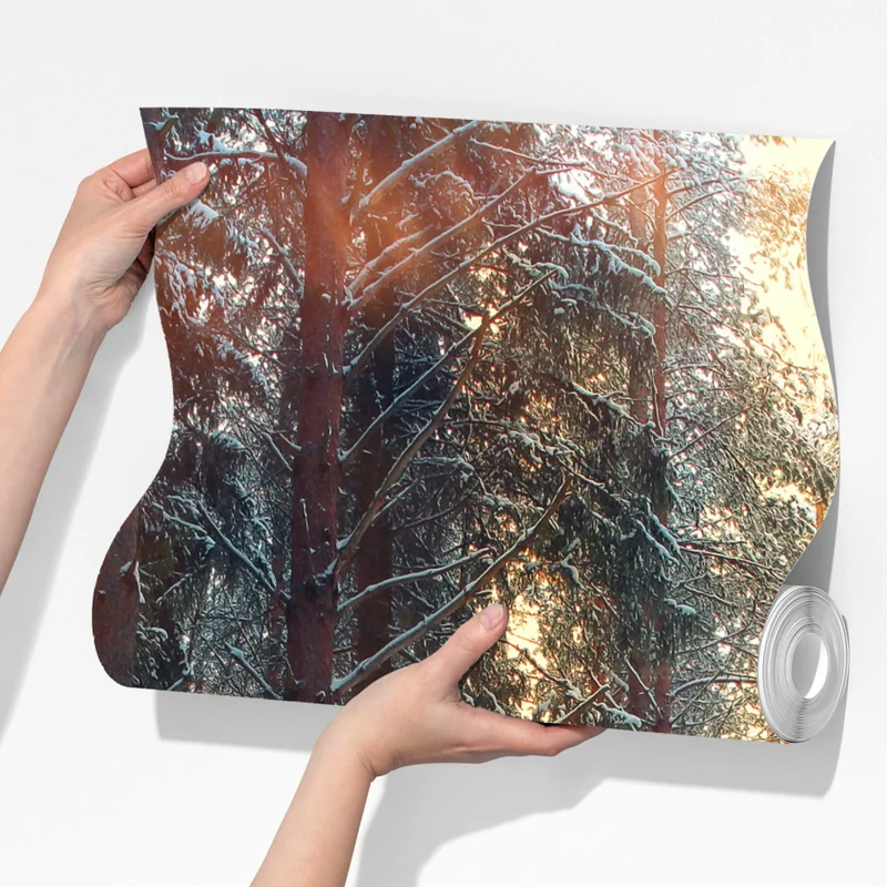 Fototapete winterwald im morgendlichen licht Fototapete winterwald im morgendlichen licht