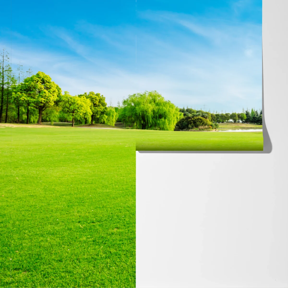 Fototapeta spokojna zielona łąka pod błękitnym niebem Fototapeta spokojna zielona łąka pod błękitnym niebem