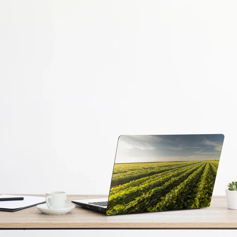 Laptop-Aufkleber sonnenbeschienenes sojafeld bei sonnenuntergang