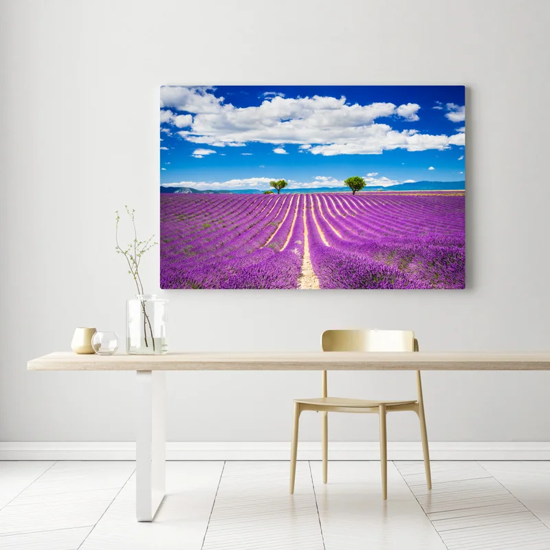 Leinwandbild lavendelfelder in Provence Leinwandbild lavendelfelder in Provence