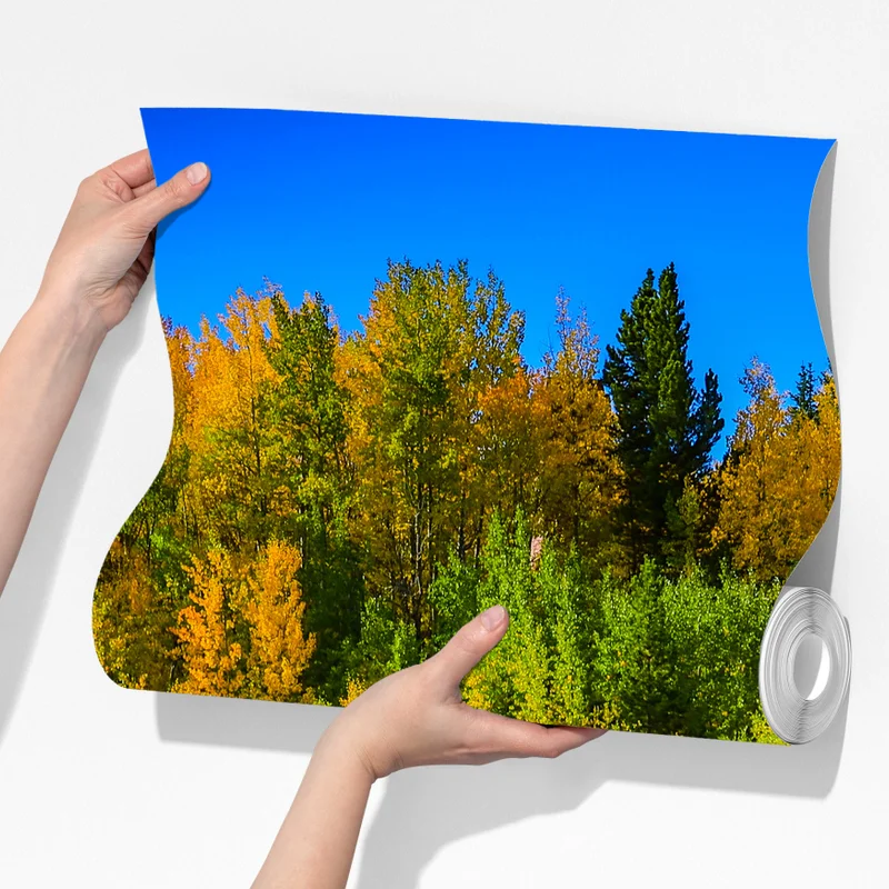 Fototapete herbstbäume spiegeln sich in einem ruhigen see Fototapete herbstbäume spiegeln sich in einem ruhigen see