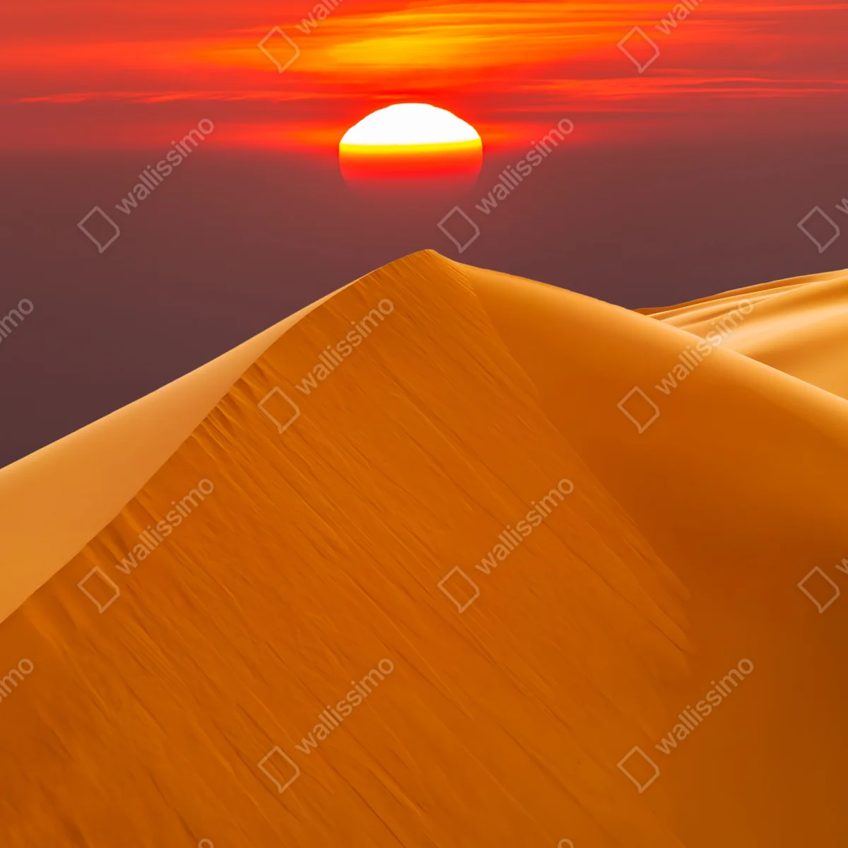 Laptop-Aufkleber goldener sonnenuntergang über sanddünen Laptop-Aufkleber goldener sonnenuntergang über sanddünen