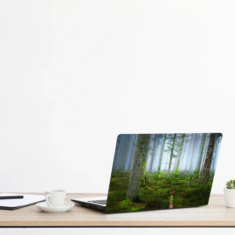 Naklejka na laptopa mglisty las sosnowy z Alzacji