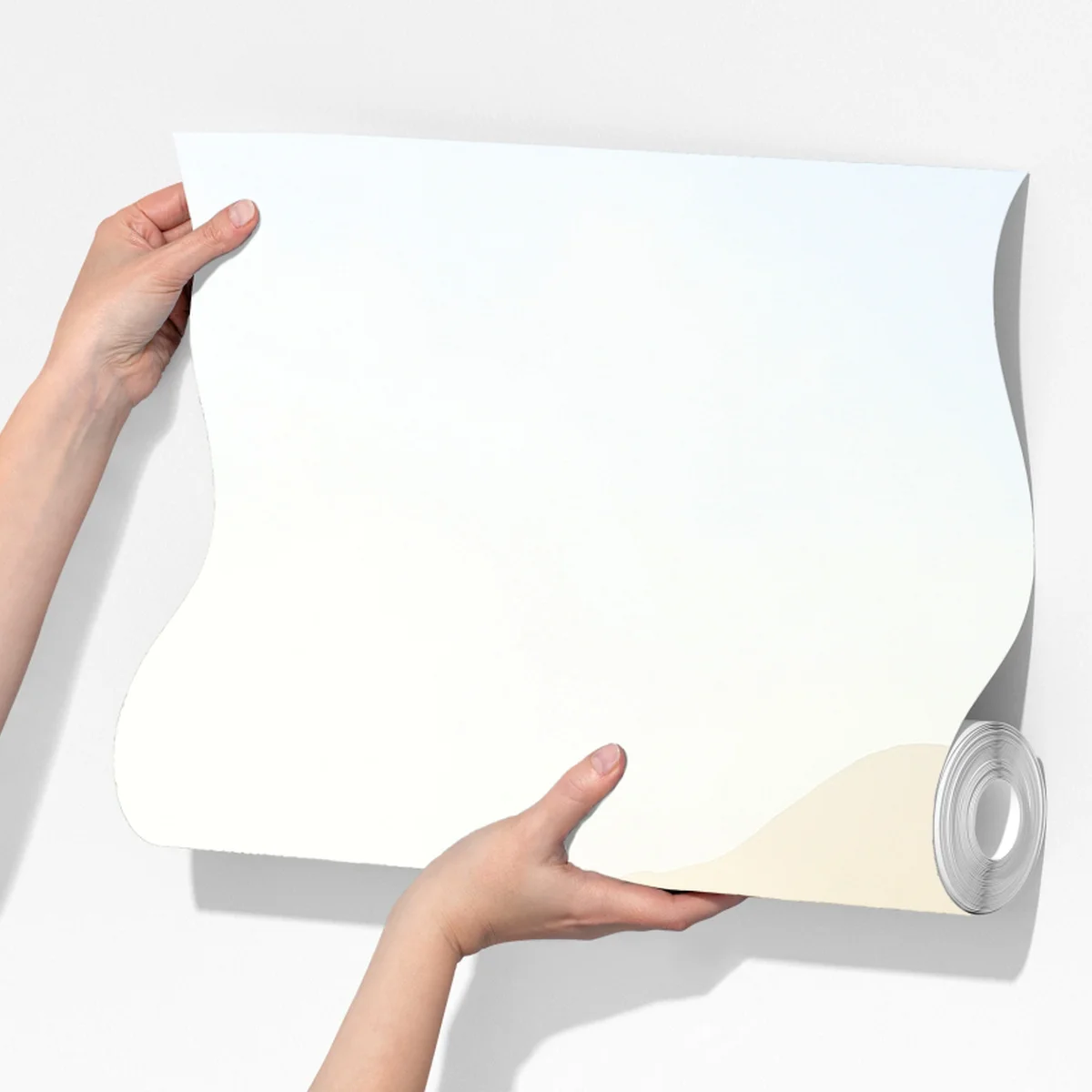 Fototapete nebliger kiefernwald bei sonnenaufgang Fototapete nebliger kiefernwald bei sonnenaufgang