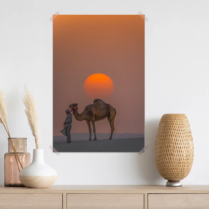Poster kamel vor sonnenuntergang in der wüste Poster kamel vor sonnenuntergang in der wüste