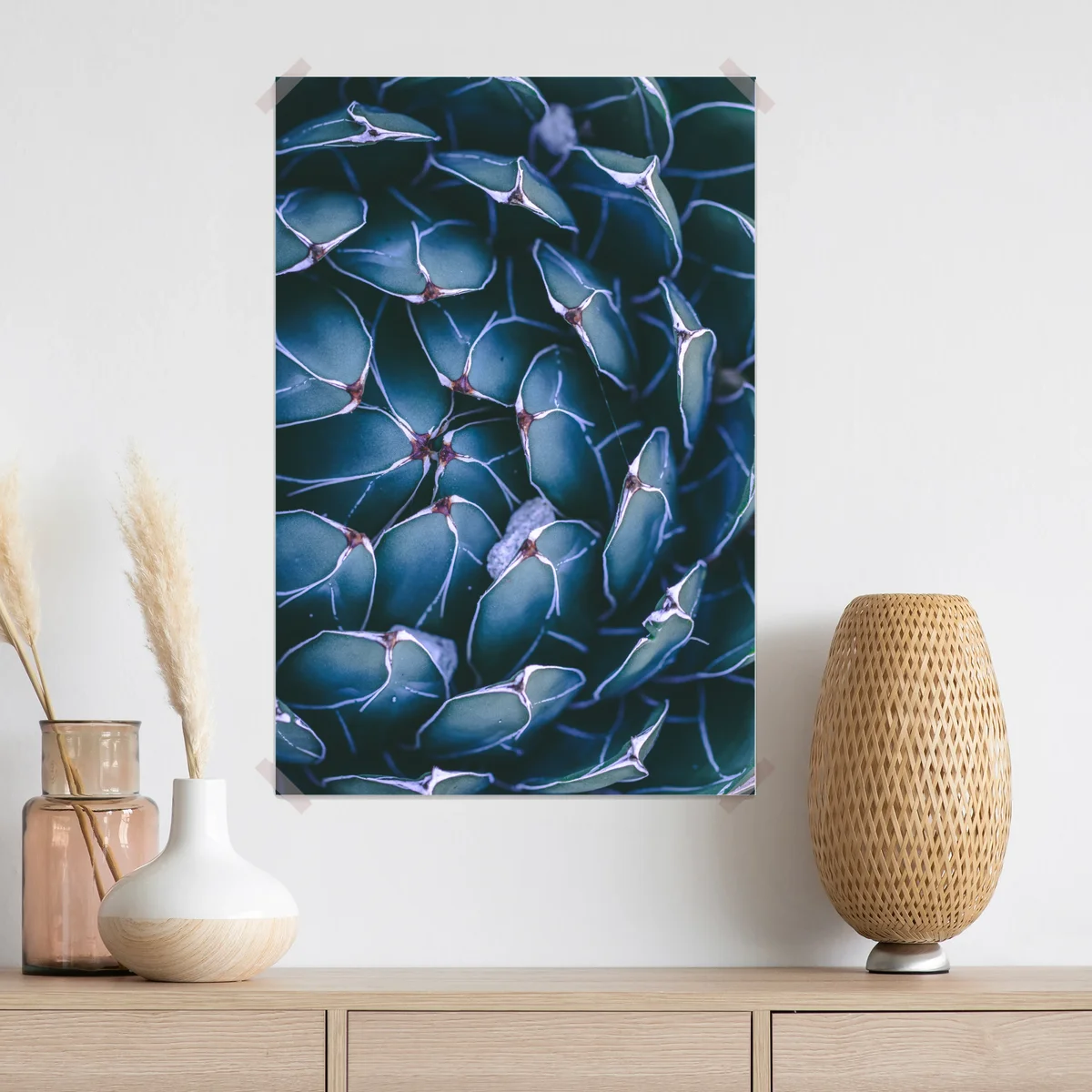 Poster geometrische makroaufnahme türkiser sukkulente Poster geometrische makroaufnahme türkiser sukkulente