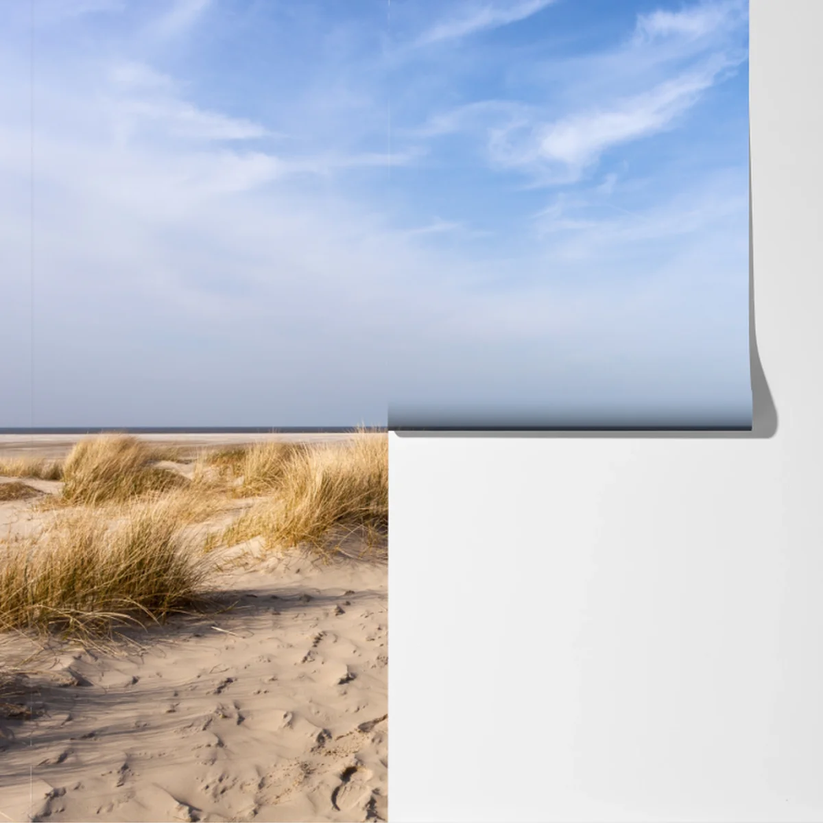 Fototapeta spokojne wydmy na wybrzeżu Niemiec Fototapeta spokojne wydmy na wybrzeżu Niemiec