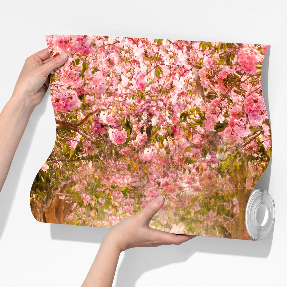 Fototapete rosa blütenallee unter kirschbäumen Fototapete rosa blütenallee unter kirschbäumen