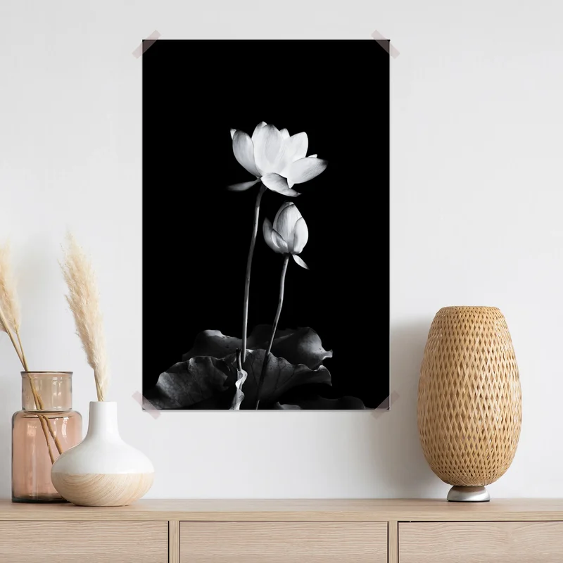 Poster weißer lotus in monochrom Poster weißer lotus in monochrom