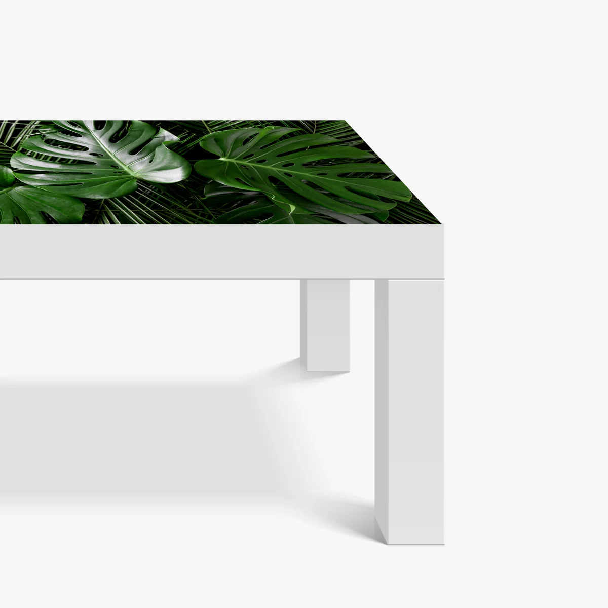 Tischaufkleber und Schreibtischaufkleber üppige monstera-blätter Tischaufkleber und Schreibtischaufkleber üppige monstera-blätter