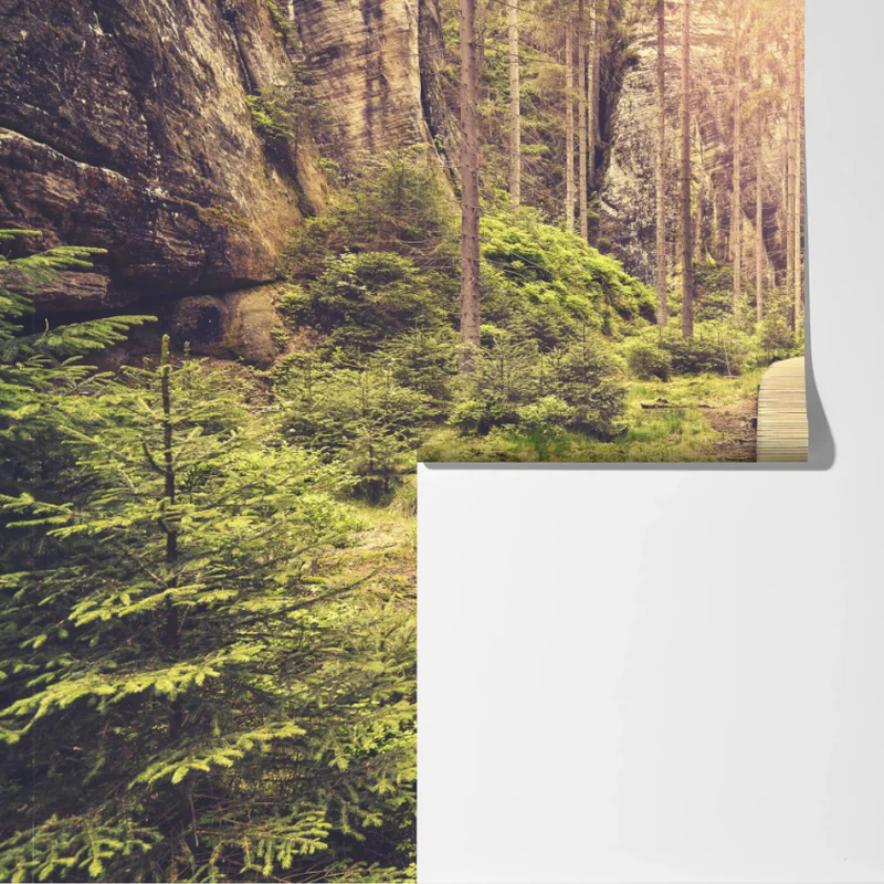 Fototapete sonniger holzsteg in Adrspach Teplice Fototapete sonniger holzsteg in Adrspach Teplice