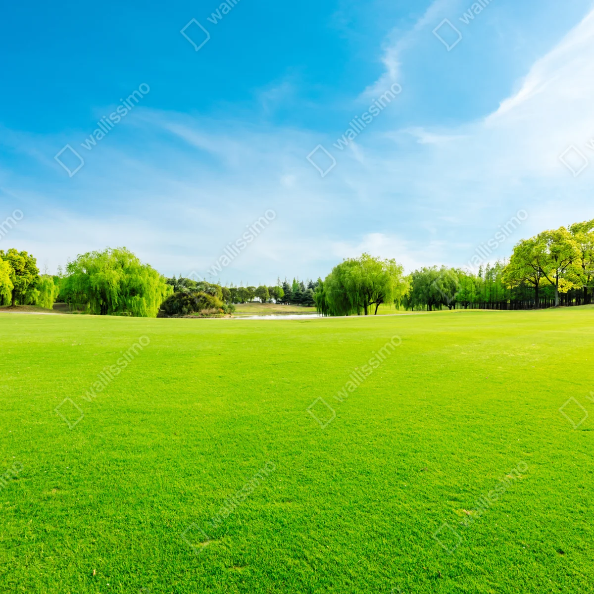 Repositionierbarer Aufkleber friedliche grüne wiese unter blauem himmel Repositionierbarer Aufkleber friedliche grüne wiese unter blauem himmel