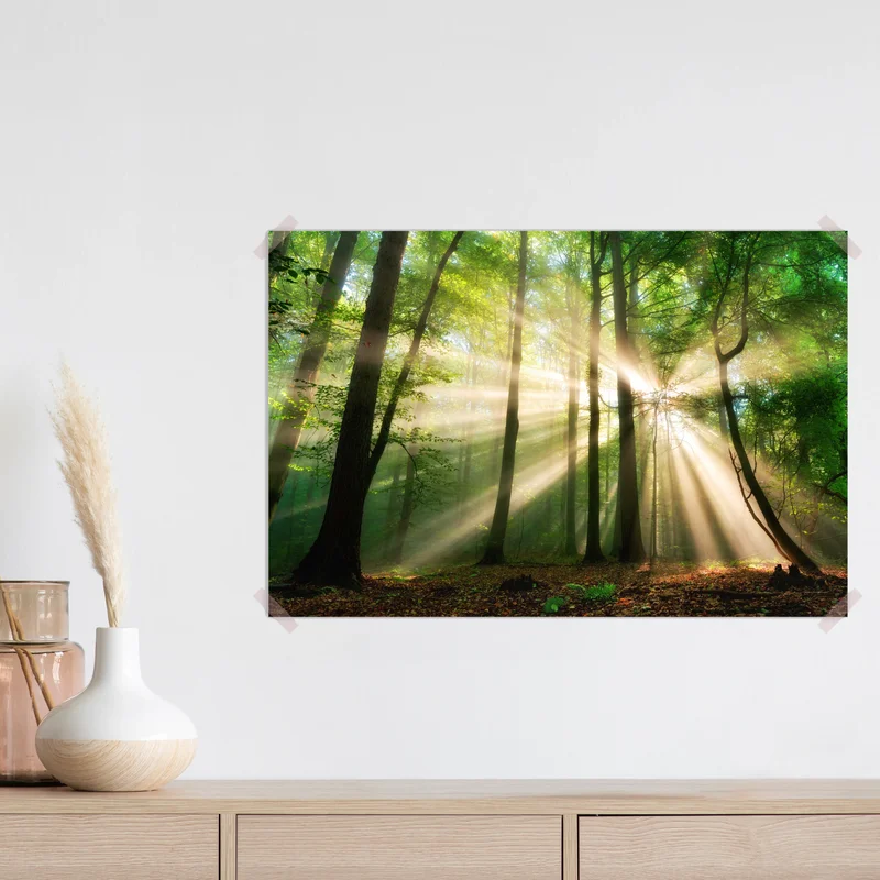 Poster sonnenstrahlen im grünen wald • Poster bei Wallnifity® Poster sonnenstrahlen im grünen wald • Poster bei Wallnifity®