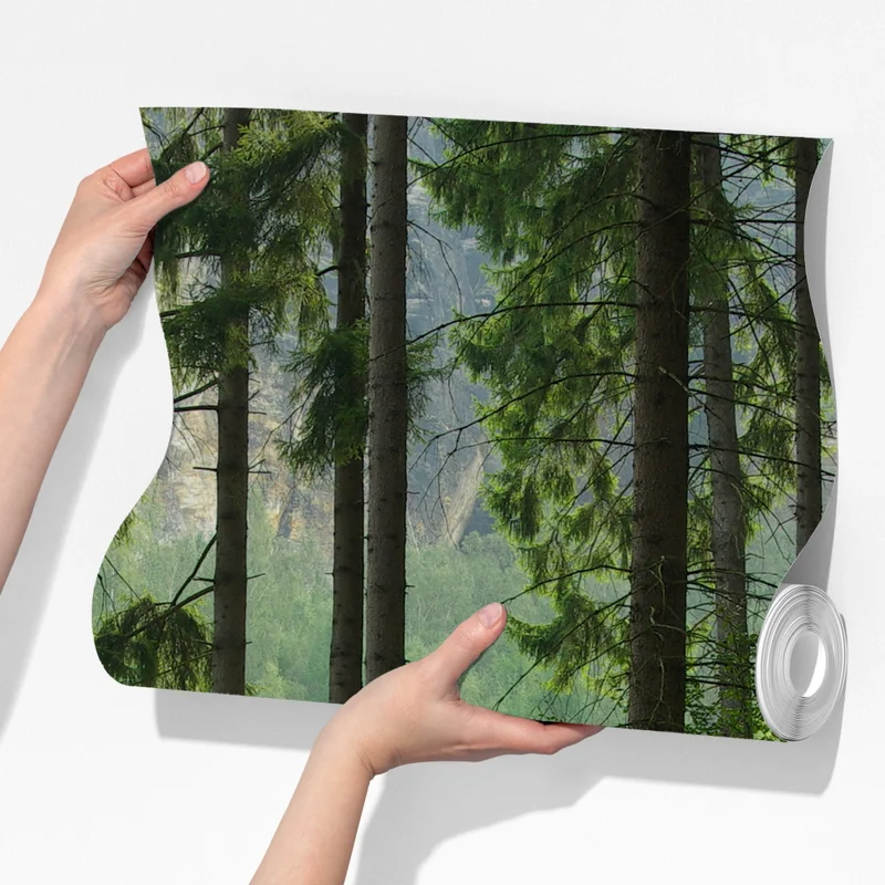 Fototapete ruhiger waldpfad Fototapete ruhiger waldpfad