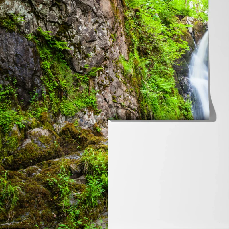 Fototapete wasserfall in moosiger schlucht mit steinbrücke Fototapete wasserfall in moosiger schlucht mit steinbrücke