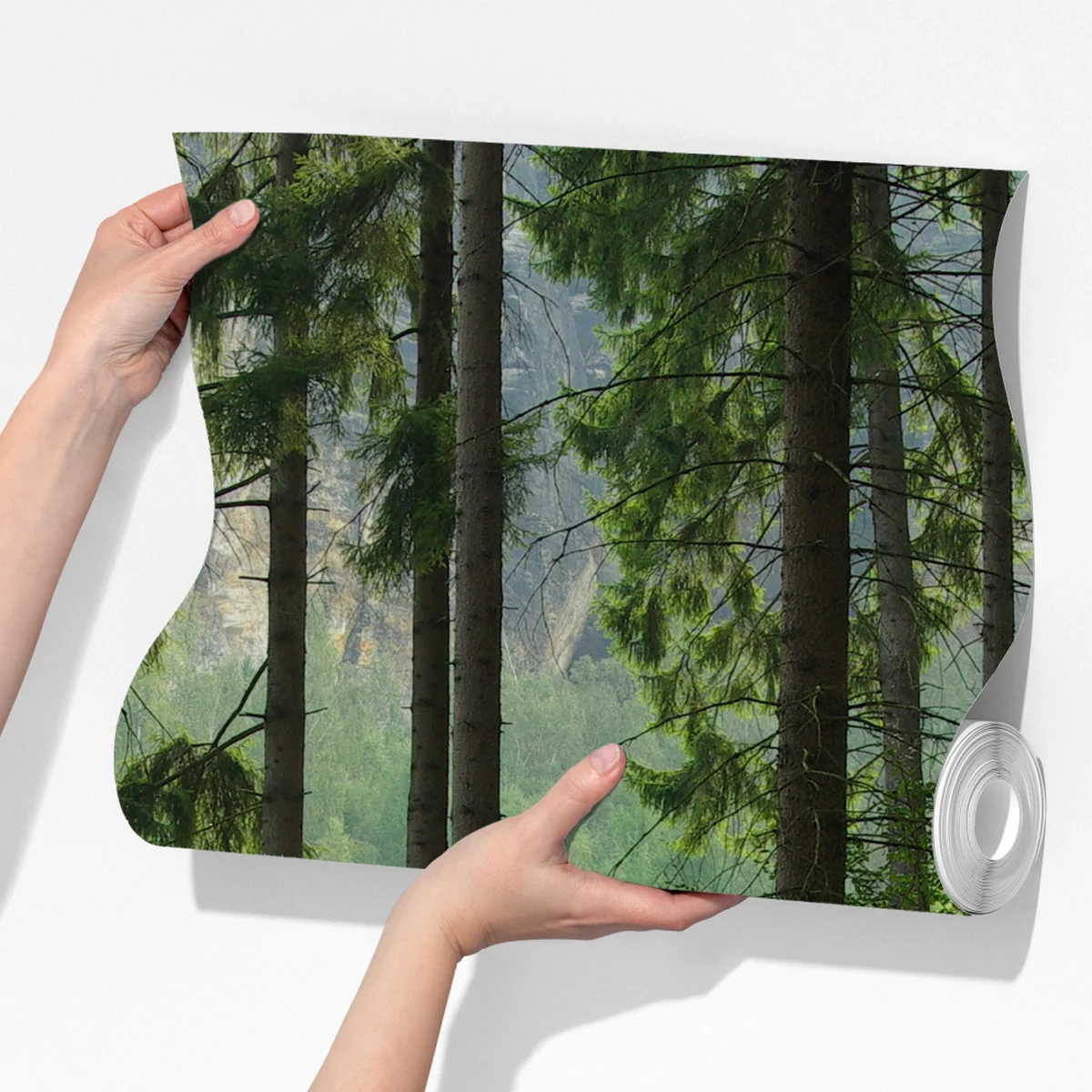 Fototapeta spokojna leśna ścieżka Fototapeta spokojna leśna ścieżka