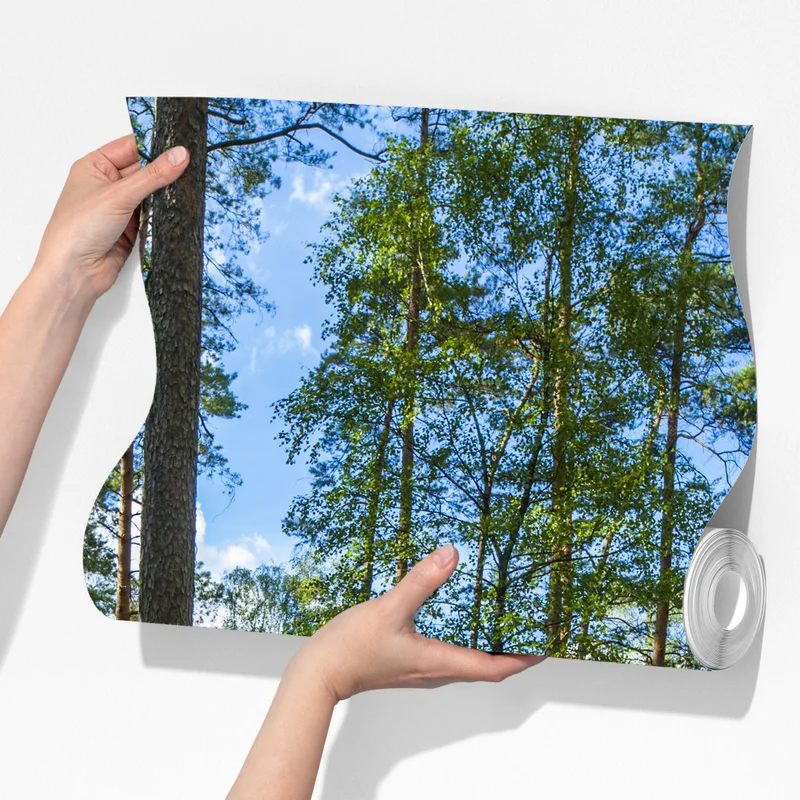 Fototapeta spokojny las sosnowy nad jeziorem Fototapeta spokojny las sosnowy nad jeziorem