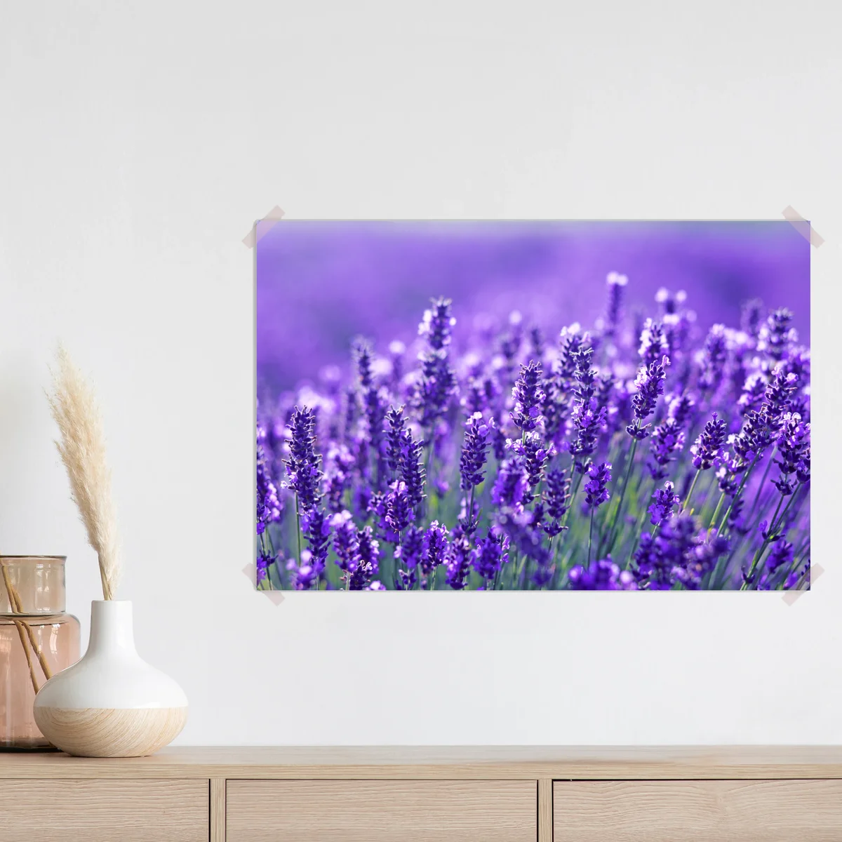 Poster lavendelfeld nahaufnahme Poster lavendelfeld nahaufnahme