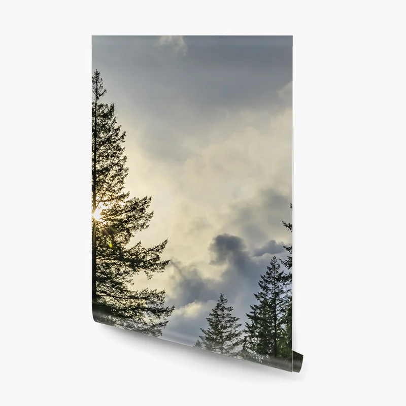 Fototapeta mglisty iglasty las z wodospadem Fototapeta mglisty iglasty las z wodospadem