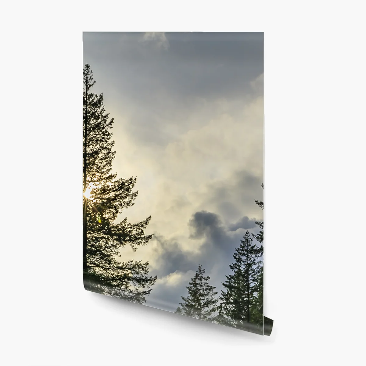 Fototapeta mglisty iglasty las z wodospadem Fototapeta mglisty iglasty las z wodospadem