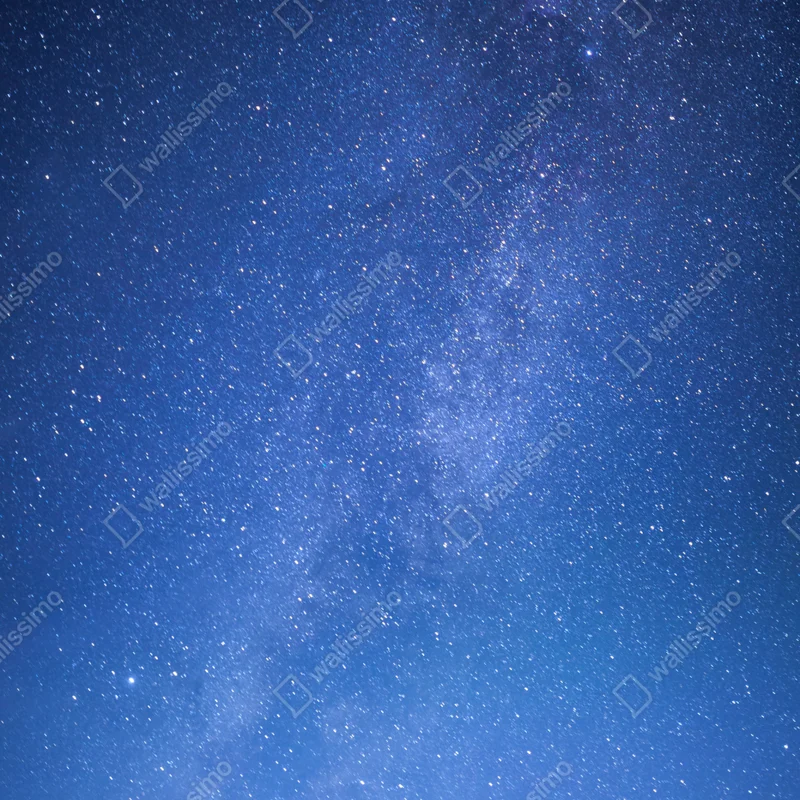 Türaufkleber sternenklare Milchstraße über dem Wald Türaufkleber sternenklare Milchstraße über dem Wald