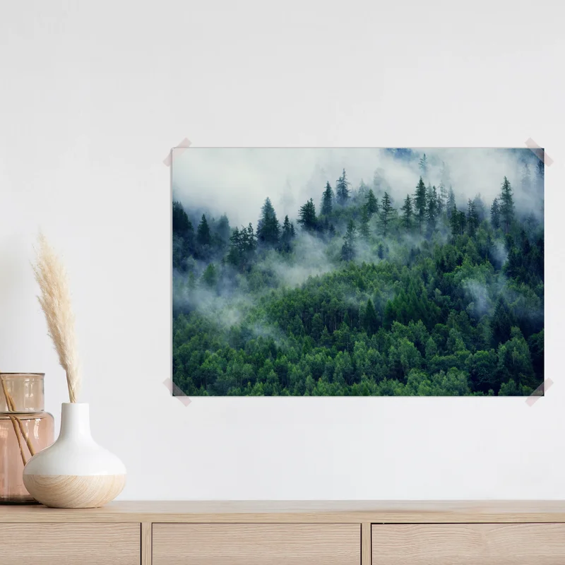 Poster nebliger grüner wald Poster nebliger grüner wald