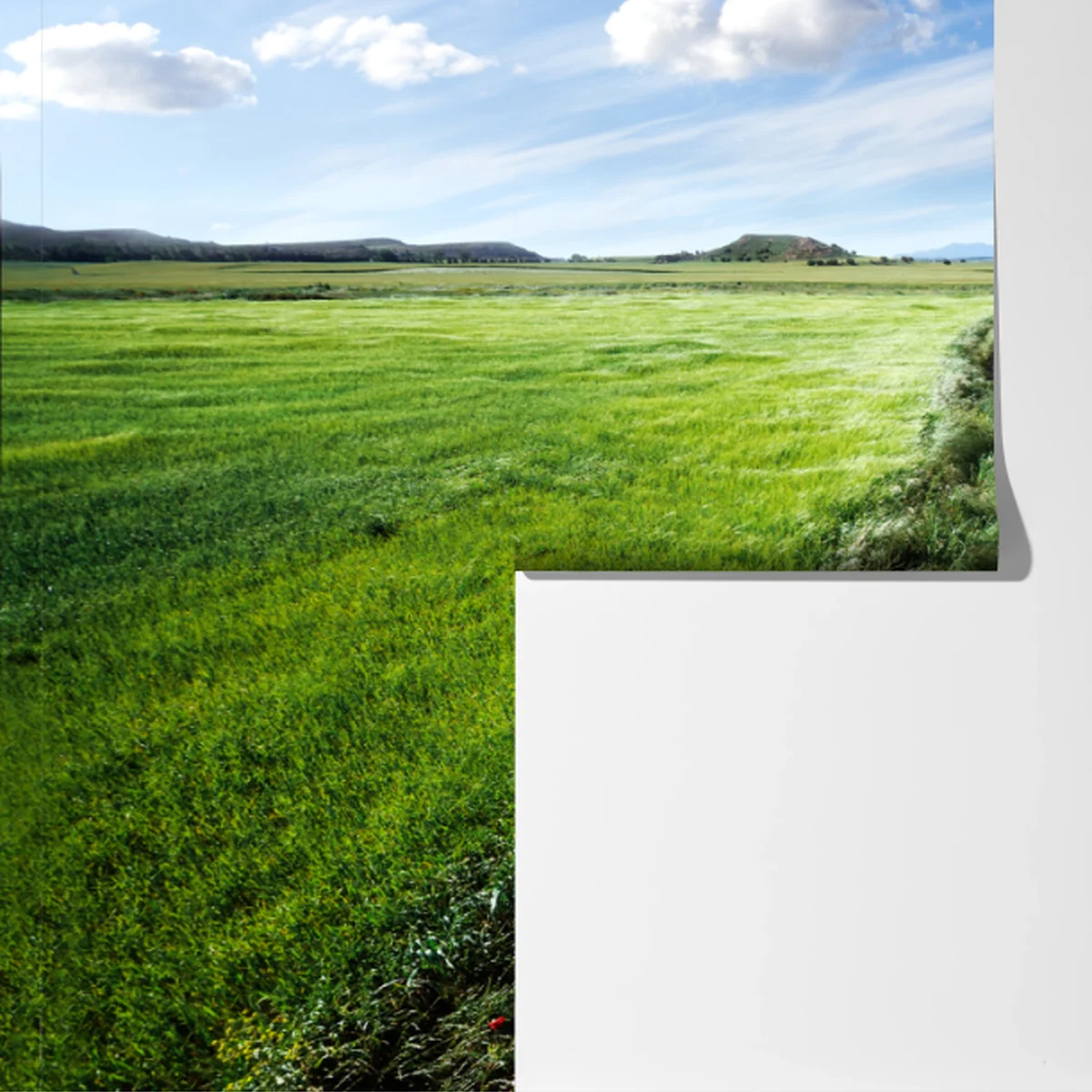 Fototapete gewundener landweg durch grüne wiesen Fototapete gewundener landweg durch grüne wiesen