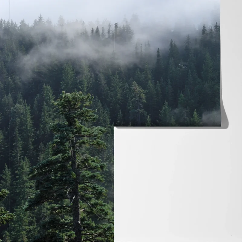 Fototapeta mglisty widok lasu z Larch Mount, Oregon Fototapeta mglisty widok lasu z Larch Mount, Oregon