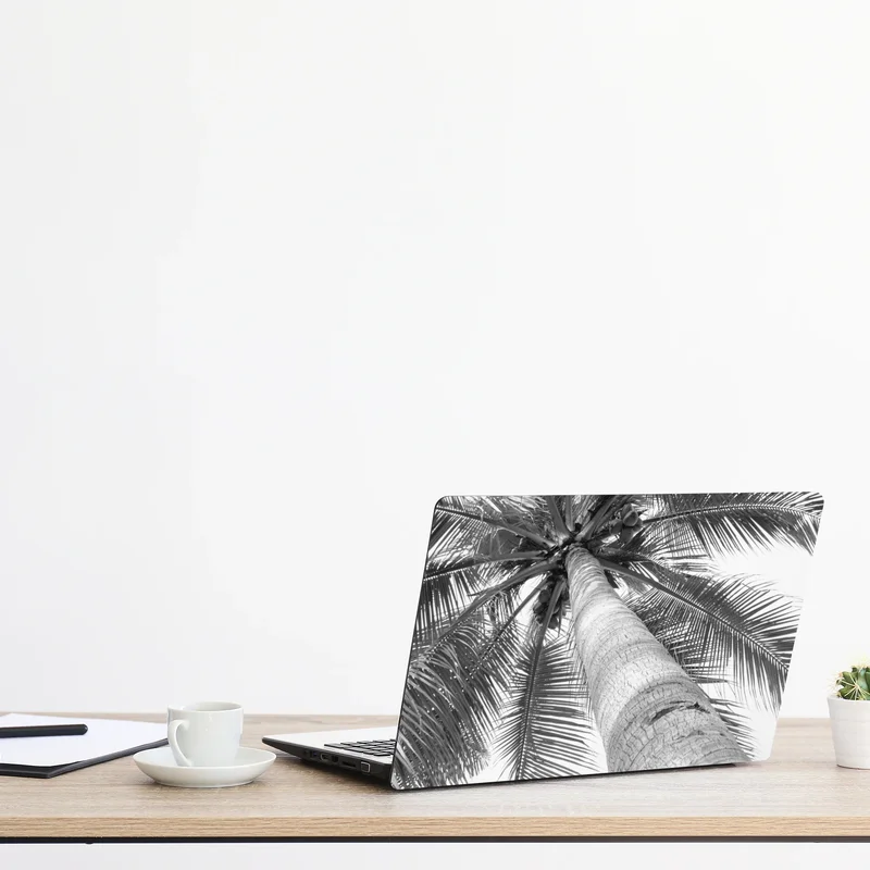 Naklejka na laptopa monochromatyczna palma z perspektywy