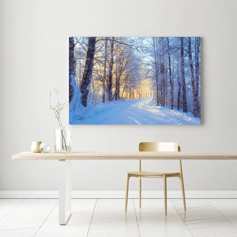 Leinwandbild birkenwald im winter bei sonnenaufgang Leinwandbild birkenwald im winter bei sonnenaufgang