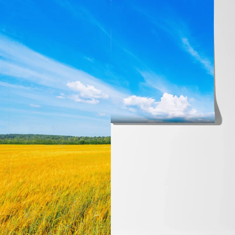 Fototapete goldene wiese unter weitem blauem himmel Fototapete goldene wiese unter weitem blauem himmel