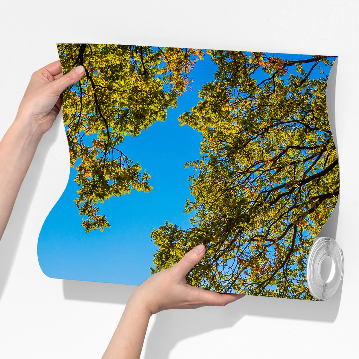 Fototapete sonnenbeschienene wiese mit landweg bei sonnenuntergang Fototapete sonnenbeschienene wiese mit landweg bei sonnenuntergang