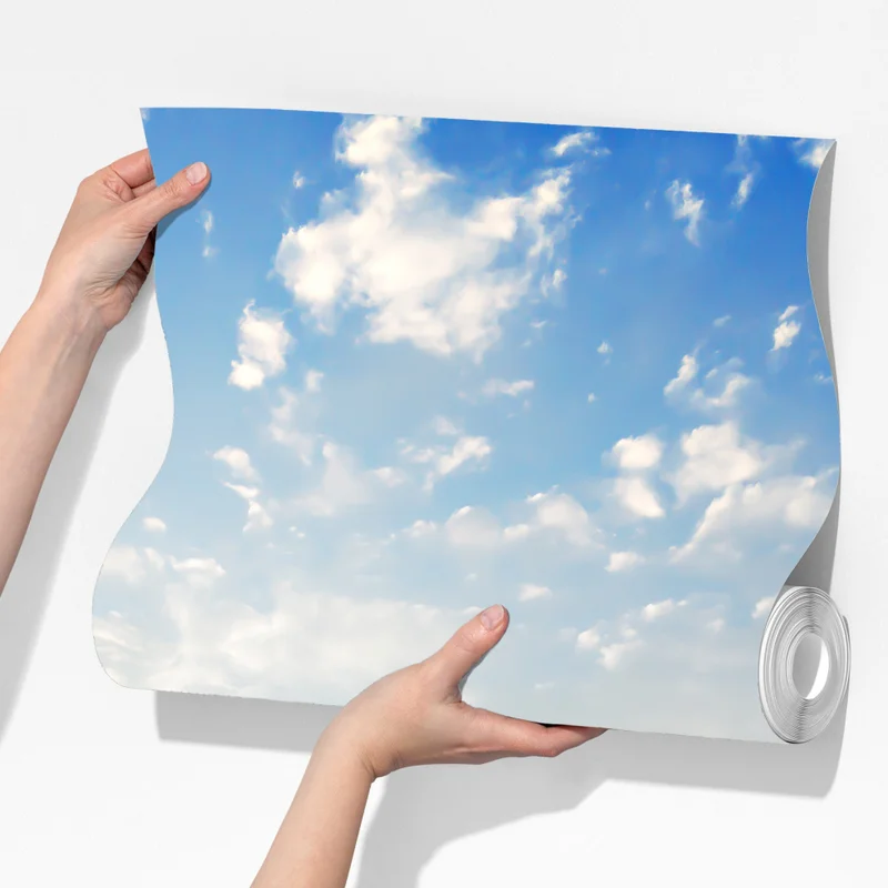 Fototapete sonniger küstenpfad zum meer Fototapete sonniger küstenpfad zum meer