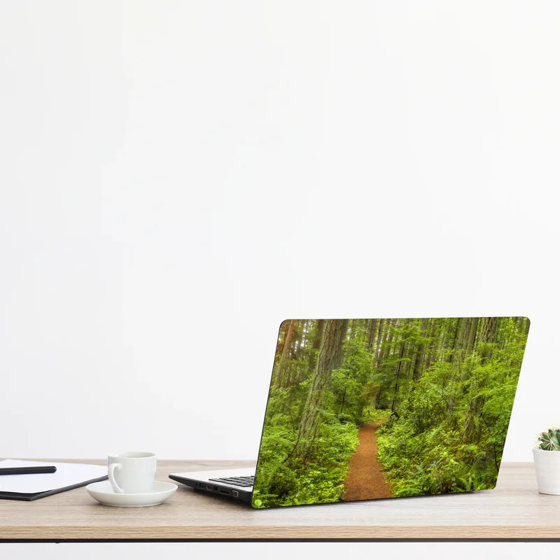 Laptop-Aufkleber friedlicher waldpfad Laptop-Aufkleber friedlicher waldpfad