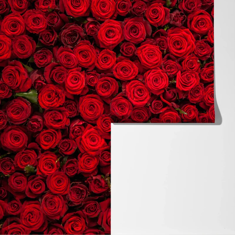 Fototapete endlose wand aus roten rosen Fototapete endlose wand aus roten rosen
