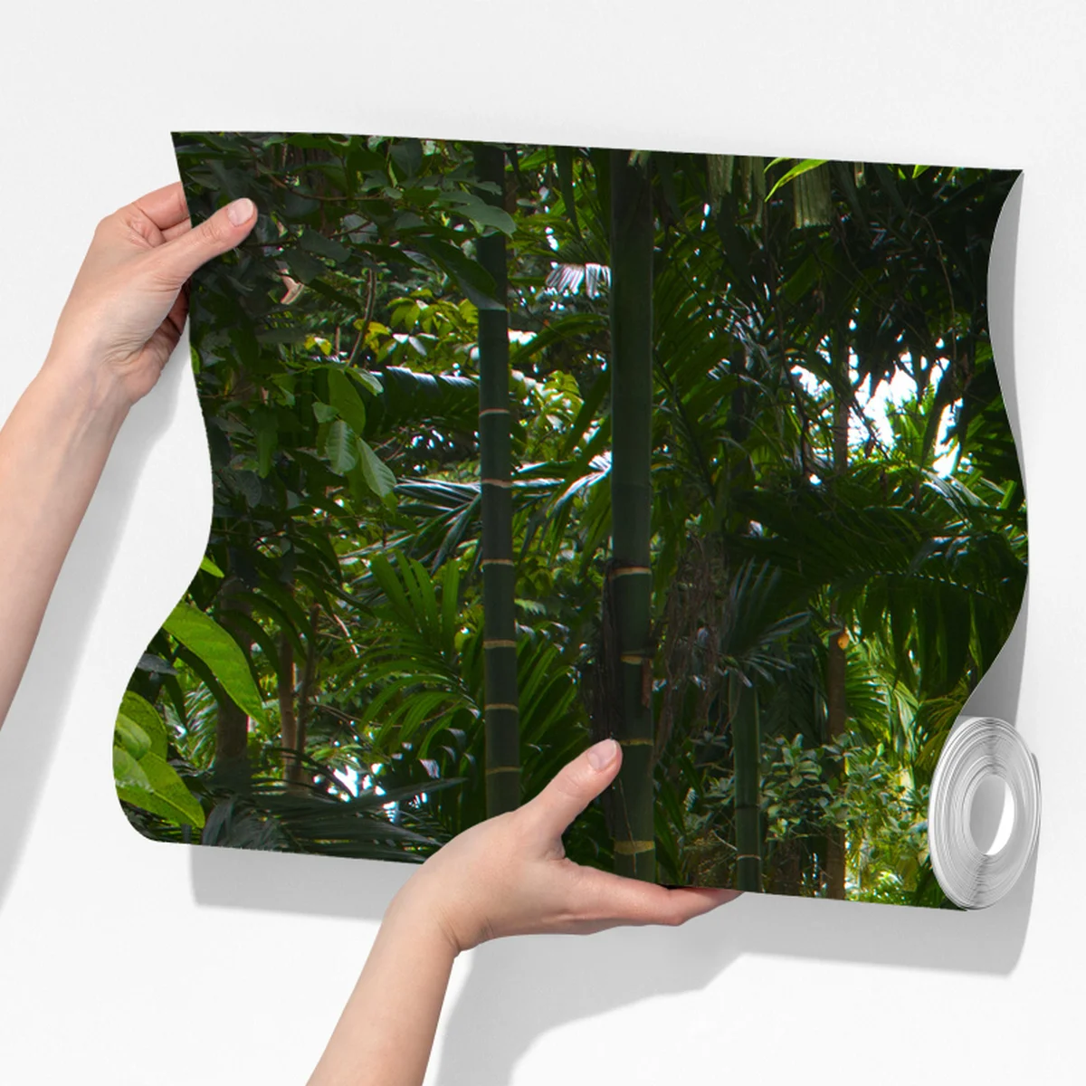 Fototapeta spokojna kładka w dżungli przez bujny las deszczowy Fototapeta spokojna kładka w dżungli przez bujny las deszczowy