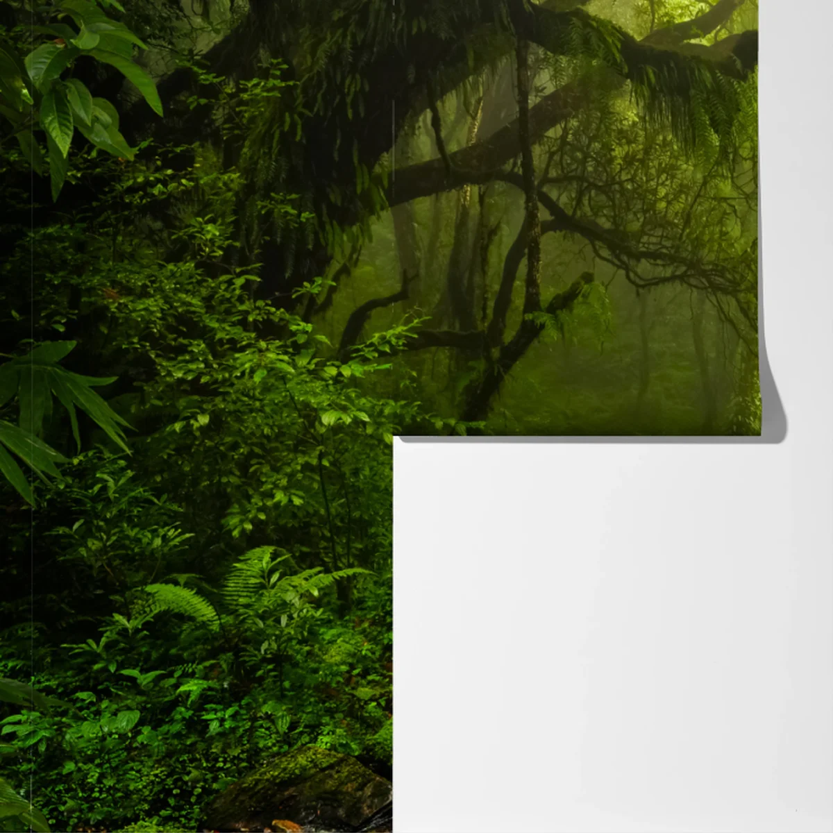 Fototapeta bujny mglisty leśny wodospad Fototapeta bujny mglisty leśny wodospad