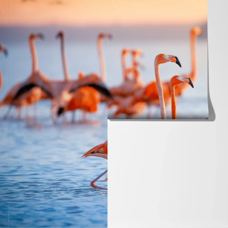 Fototapete rosa flamingos bei sonnenuntergang Fototapete rosa flamingos bei sonnenuntergang