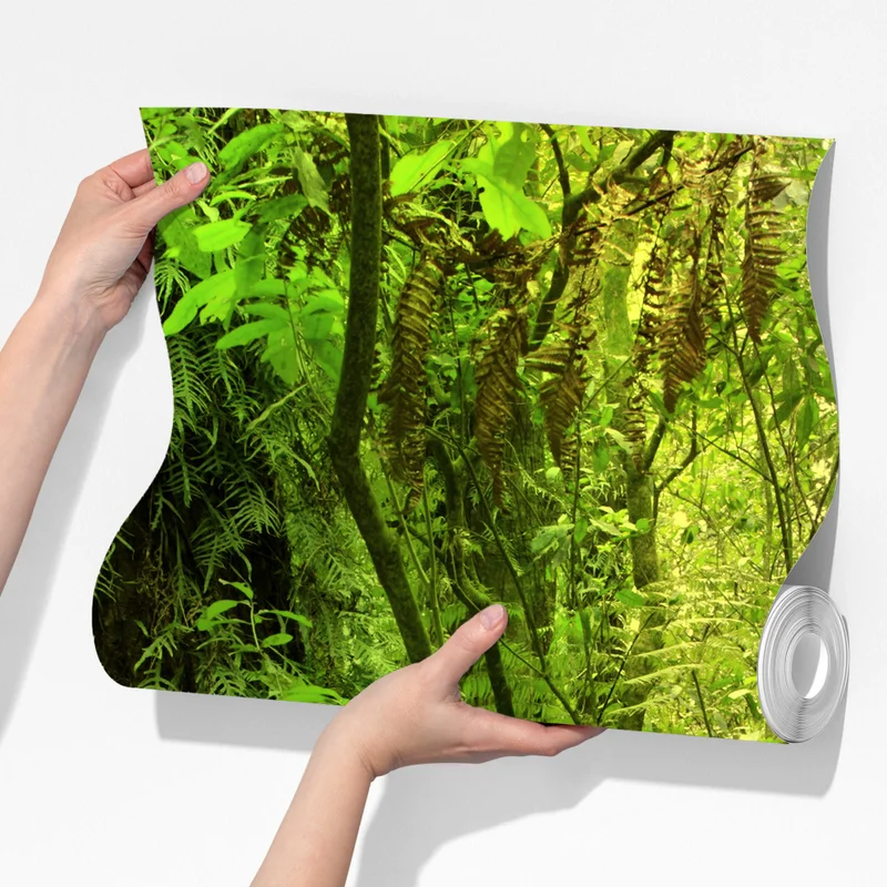 Fototapete üppiger tropischer dschungel Fototapete üppiger tropischer dschungel