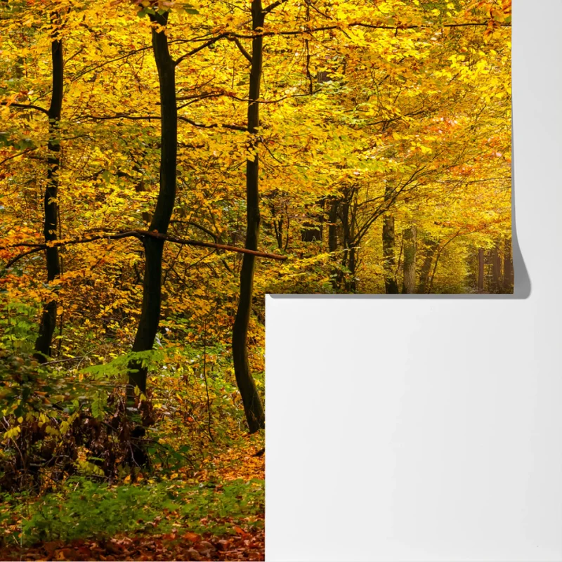 Fototapeta złota jesienna ścieżka w lesie Fototapeta złota jesienna ścieżka w lesie