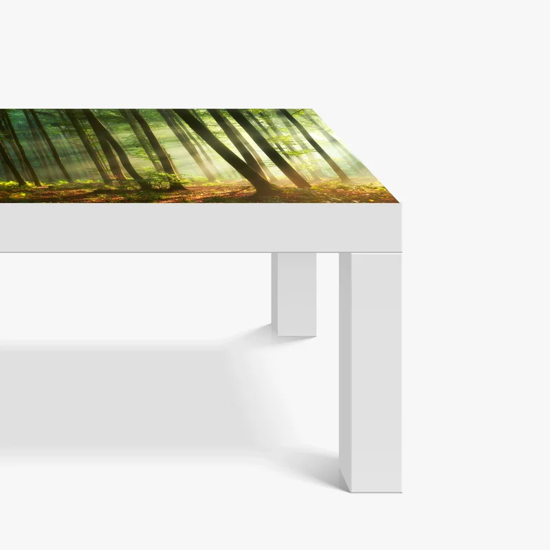 Tischaufkleber und Schreibtischaufkleber sonnenbeschienener morgenwald