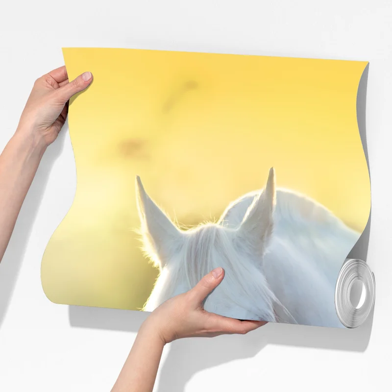 Fototapete weißes pferd im mohnfeld bei sonnenaufgang Fototapete weißes pferd im mohnfeld bei sonnenaufgang