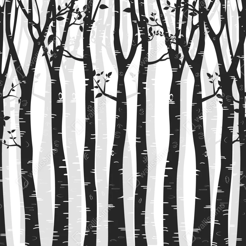 Türaufkleber monochromatischer birkenwald Türaufkleber monochromatischer birkenwald