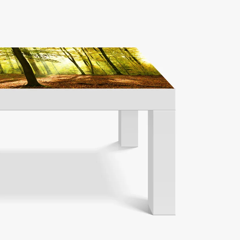 Tischaufkleber und Schreibtischaufkleber goldener herbstwald am morgen