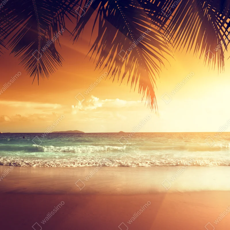 Tischaufkleber und Schreibtischaufkleber strand bei sonnenuntergang in der Karibik Tischaufkleber und Schreibtischaufkleber strand bei sonnenuntergang in der Karibik