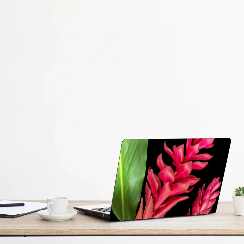 Laptop-Aufkleber leuchtende zier-ingwer-blüte auf schwarzem hintergrund