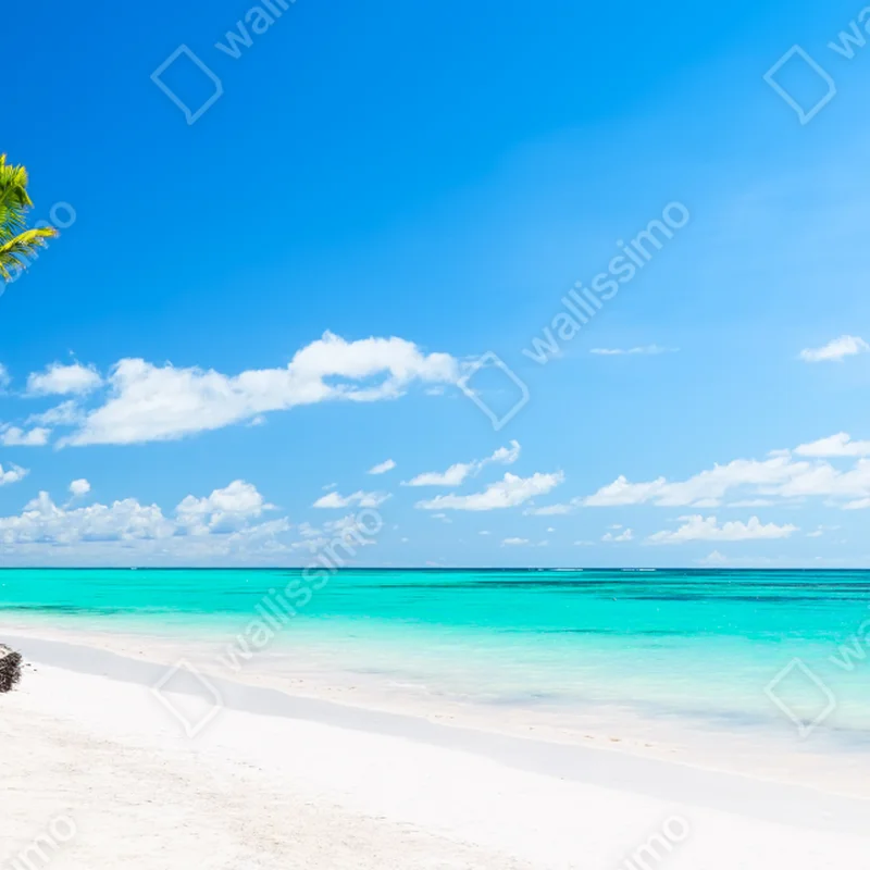 Repositionierbarer Aufkleber tropisches strandpanorama in Punta Cana Repositionierbarer Aufkleber tropisches strandpanorama in Punta Cana